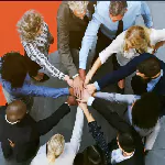 Organizational Development