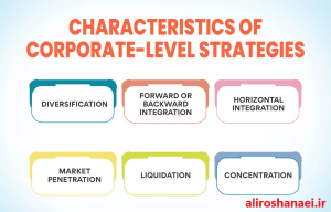 Corporate-Level Strategy