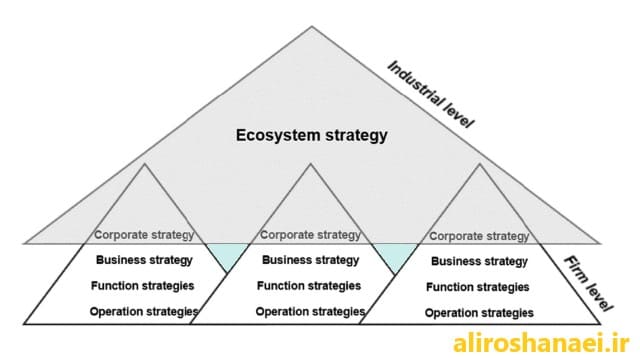 Ecosystem Strategy